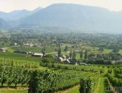 波尔多产区介绍